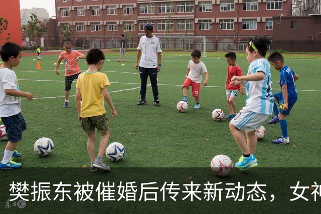 樊振东被催婚后传来新动态，女神身价超20亿美元，难怪拒绝百万带薪假